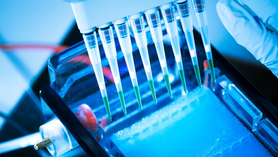 A person is holding a test tube in a laboratory.